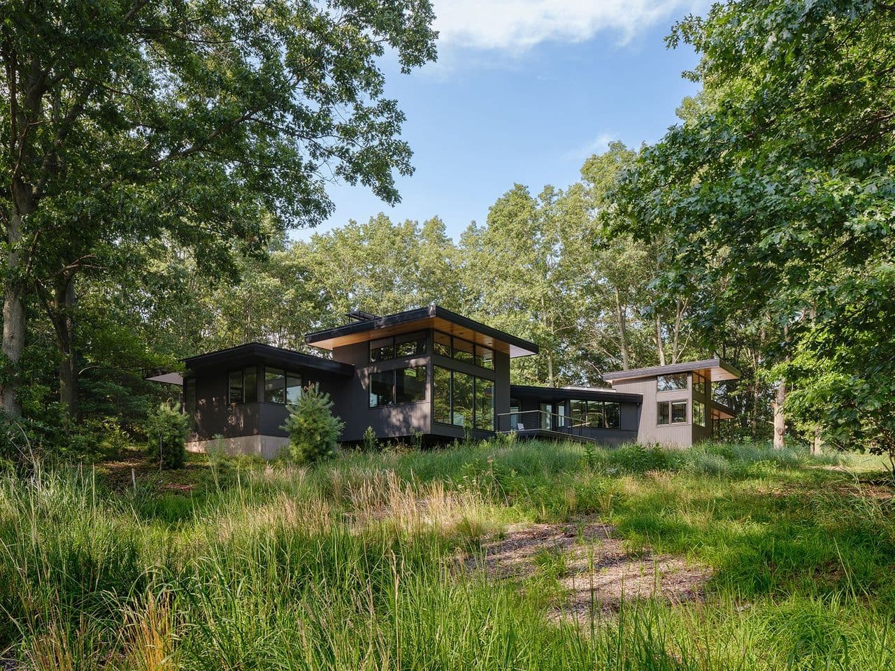 Dune Forest Retreat Exterior - Day time