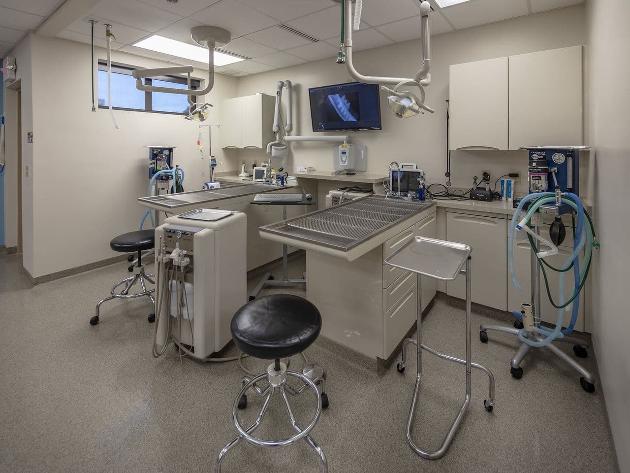 Eastown Veterinary Clinic exam room