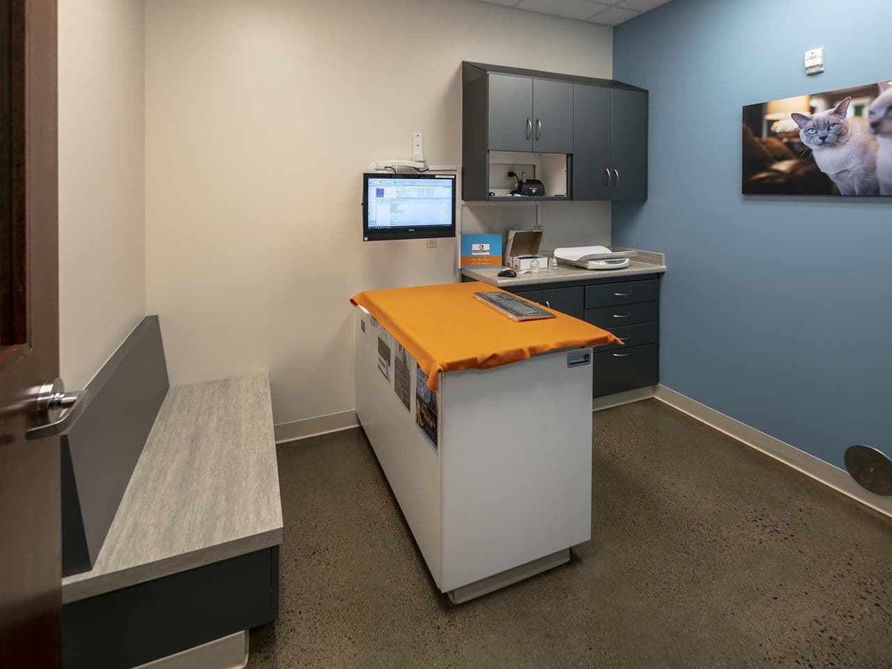 Eastown Veterinary Clinic exam room