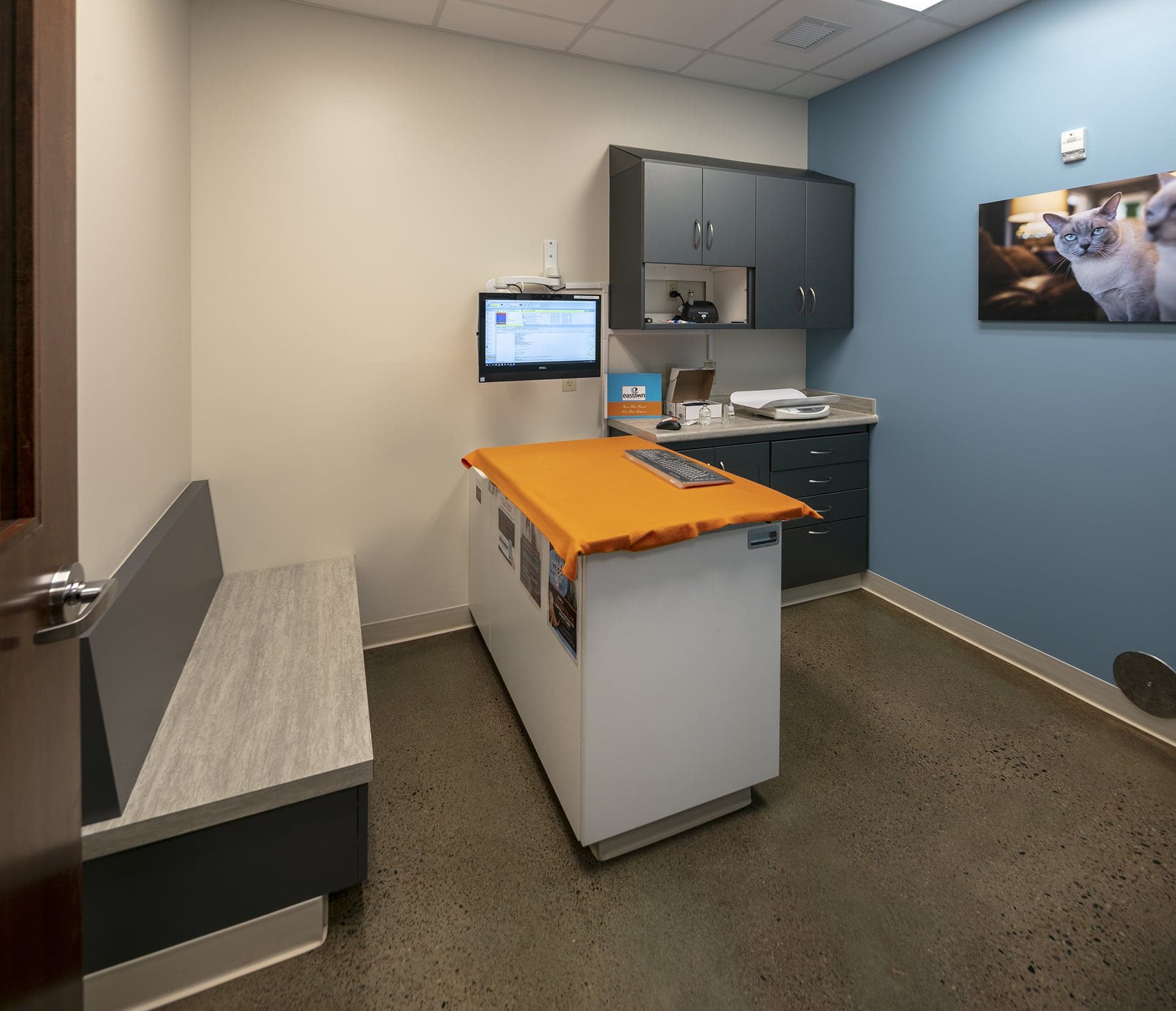 Eastown Veterinary Clinic exam room